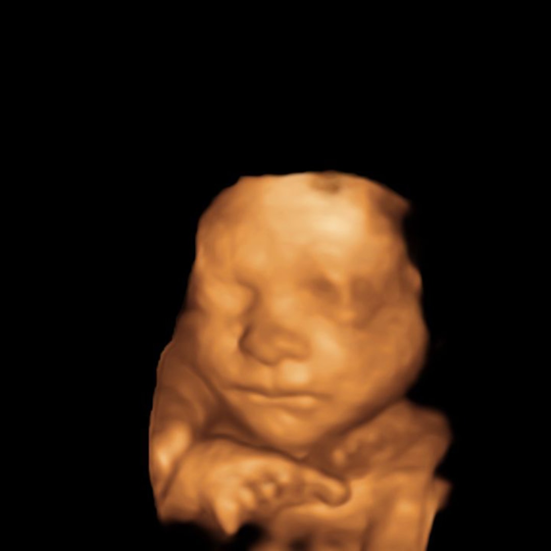 Photo shared by Abby for their Babylist baby registry.