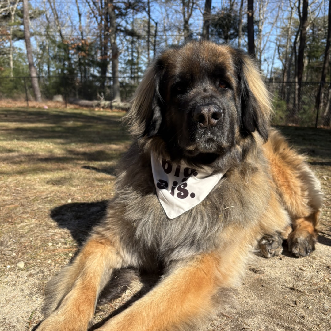 Photo shared by Kayla for their Babylist baby registry.