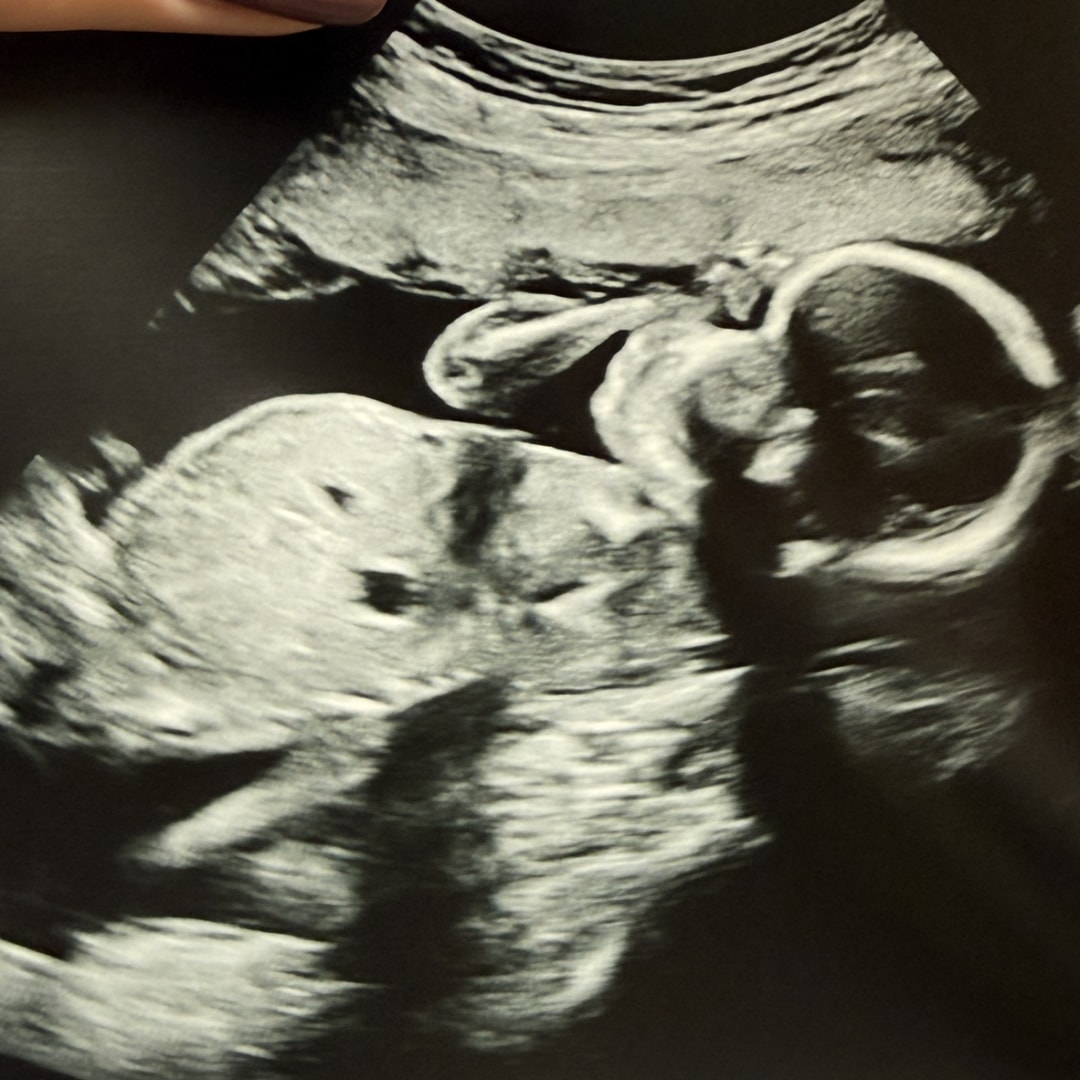 Photo shared by Maggie for their Babylist baby registry.