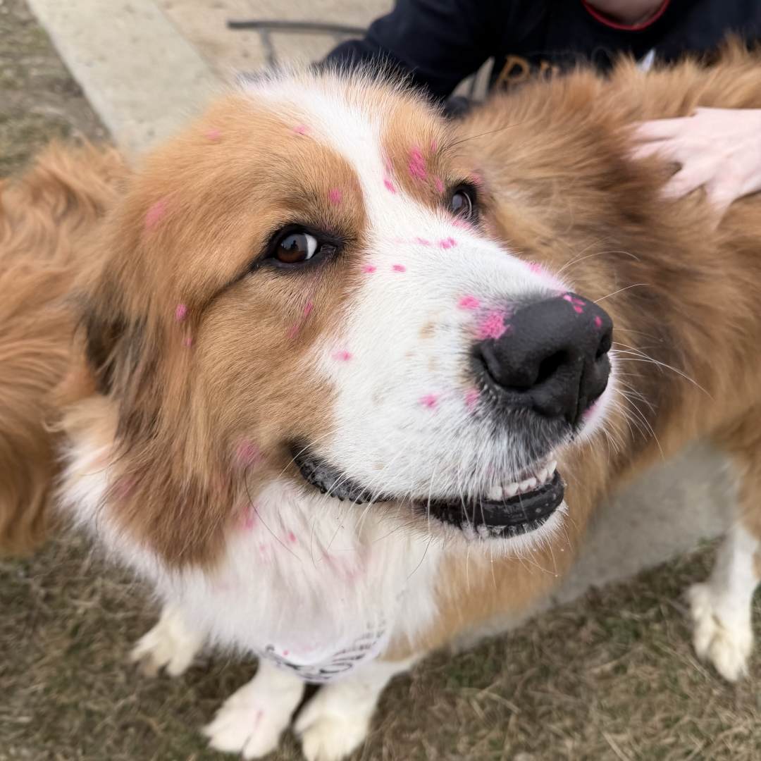 Photo shared by Mary Brantley for their Babylist baby registry.