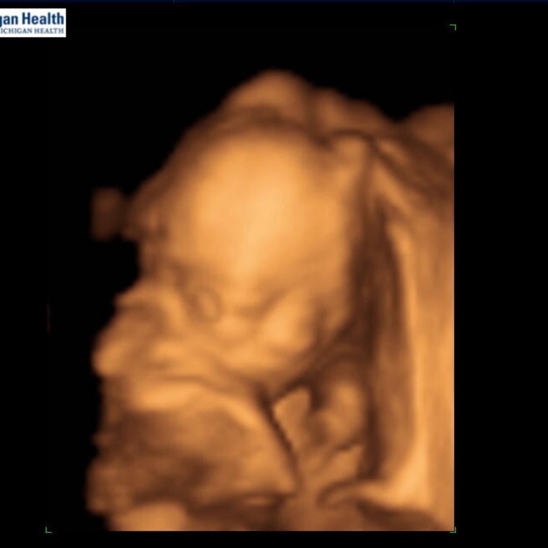 Photo shared by Emmalie for their Babylist baby registry.