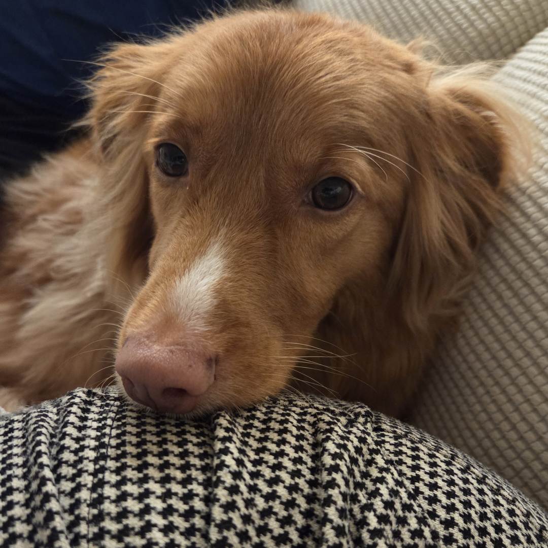 Photo shared by Ariadna for their Babylist baby registry.