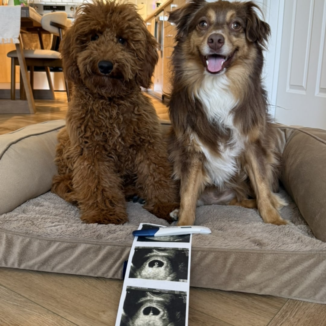 Photo shared by Mile for their Babylist baby registry.