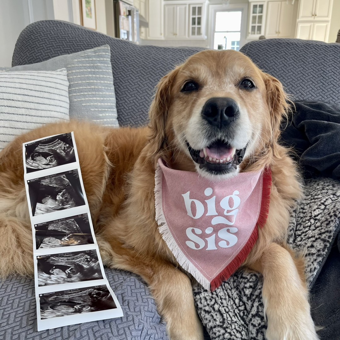 Photo shared by Christine for their Babylist baby registry.