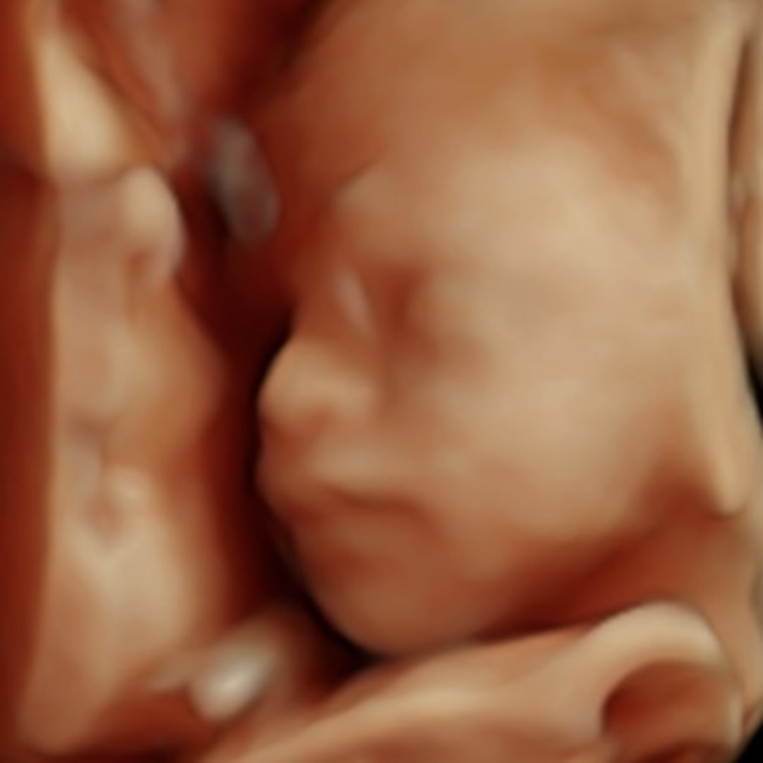 Photo shared by Kennedy for their Babylist baby registry.