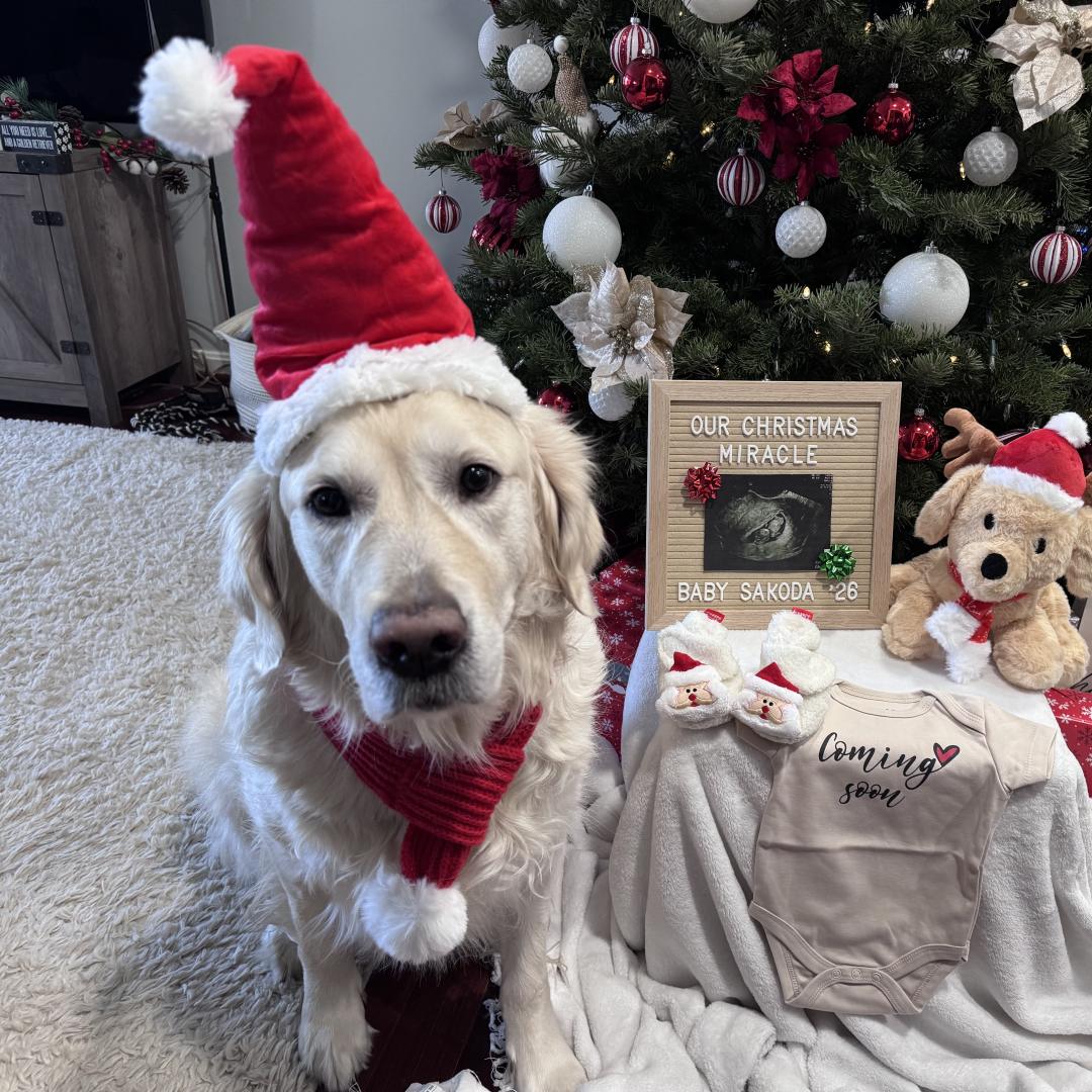 Photo shared by Christie for their Babylist baby registry.