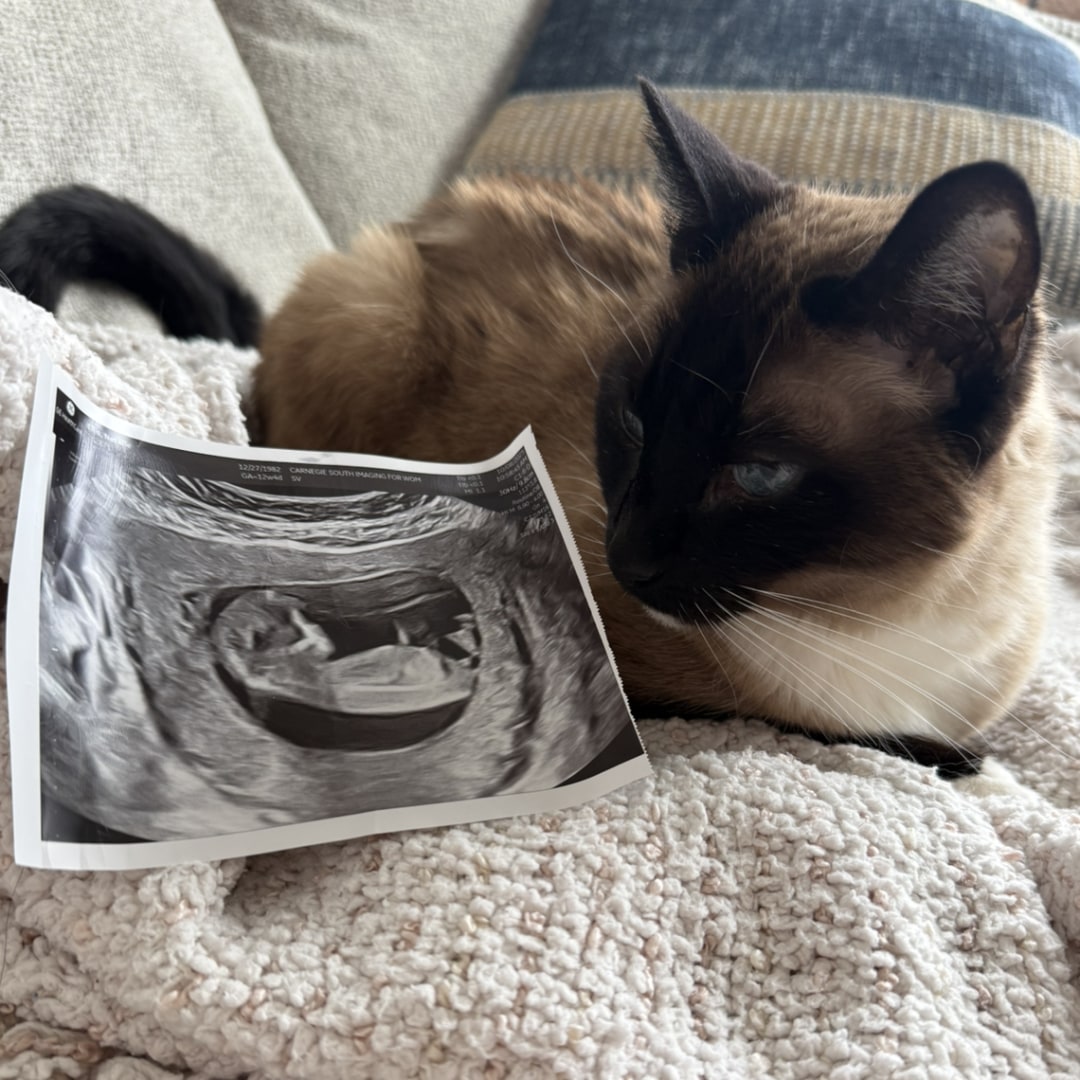 Photo shared by Natalie for their Babylist baby registry.