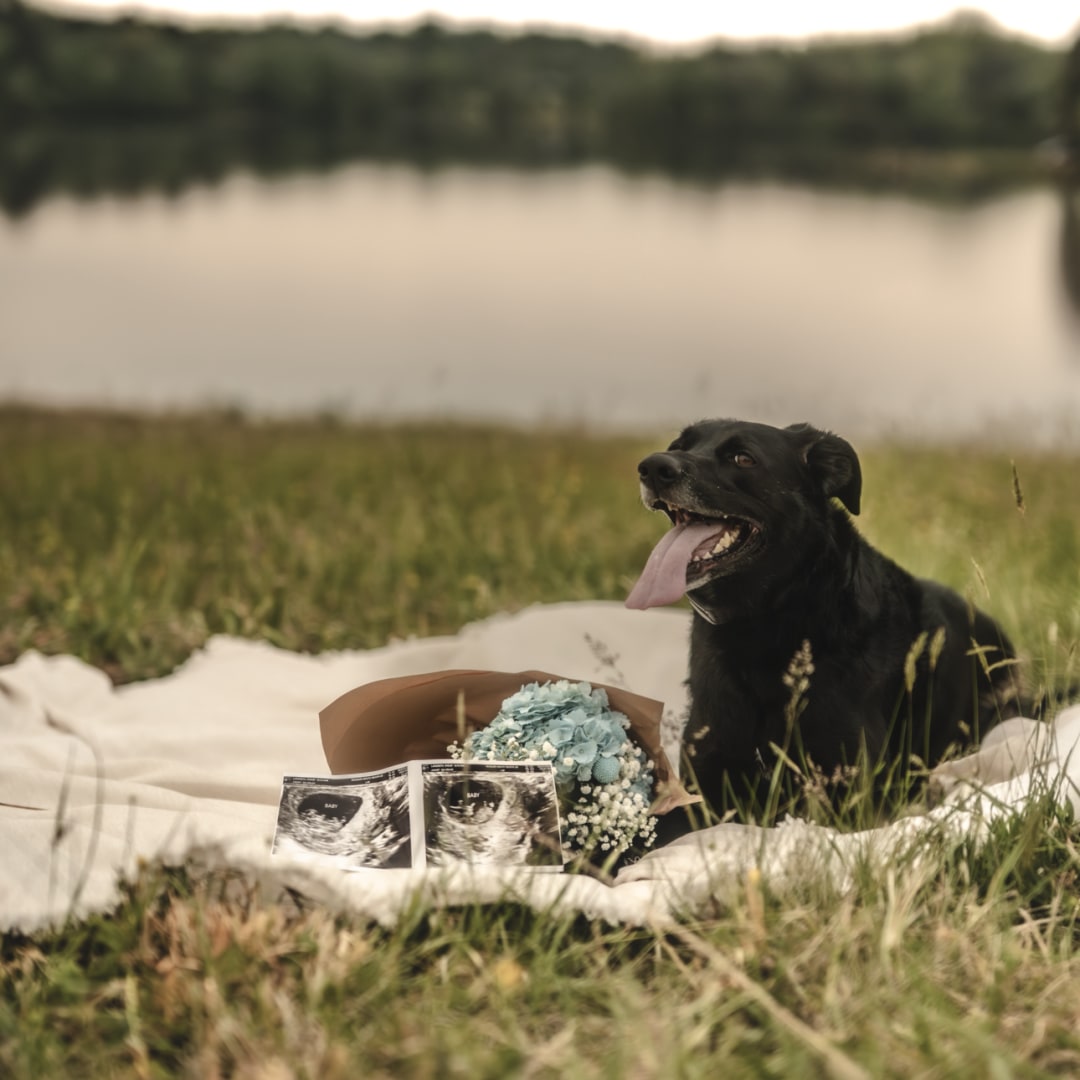 Photo shared by Shelby for their Babylist baby registry.
