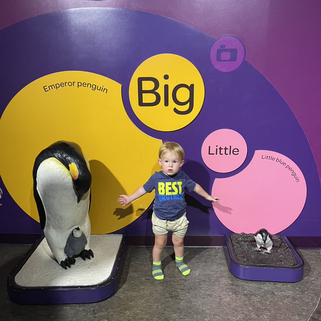Photo shared by Madison for their Babylist baby registry.