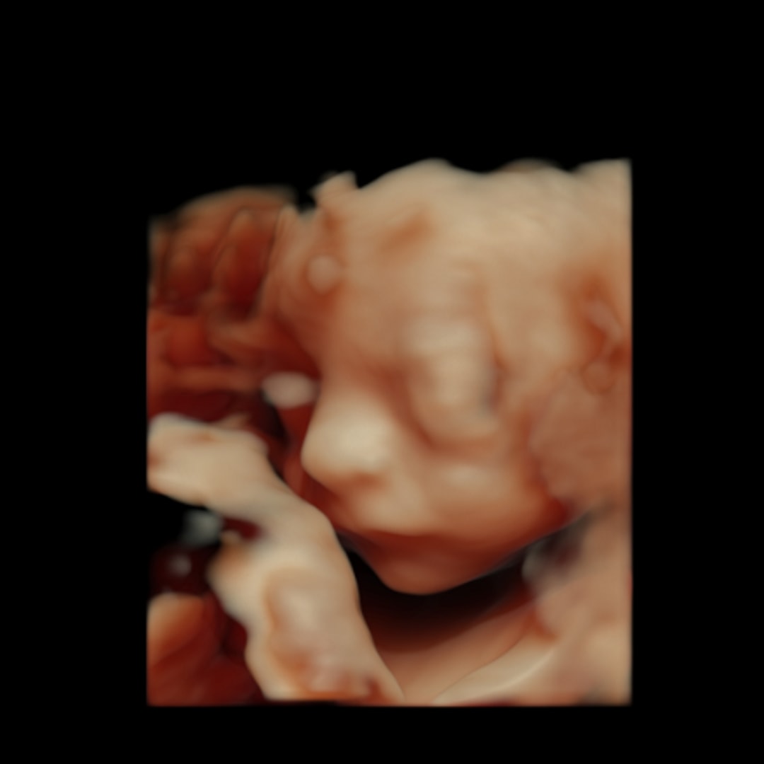 Photo shared by Jessica for their Babylist baby registry.