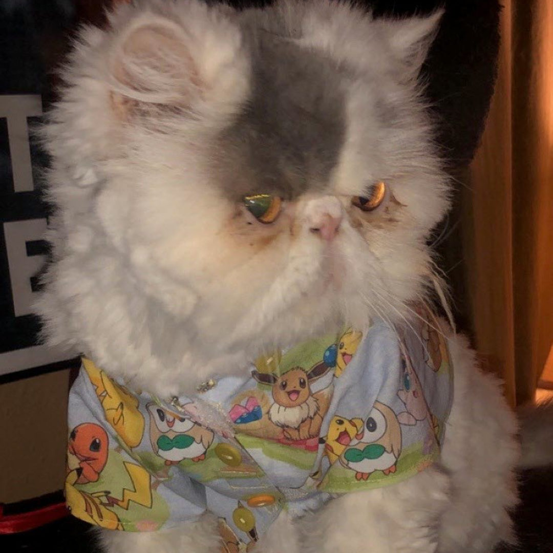 Photo shared by Rachel for their Babylist baby registry.