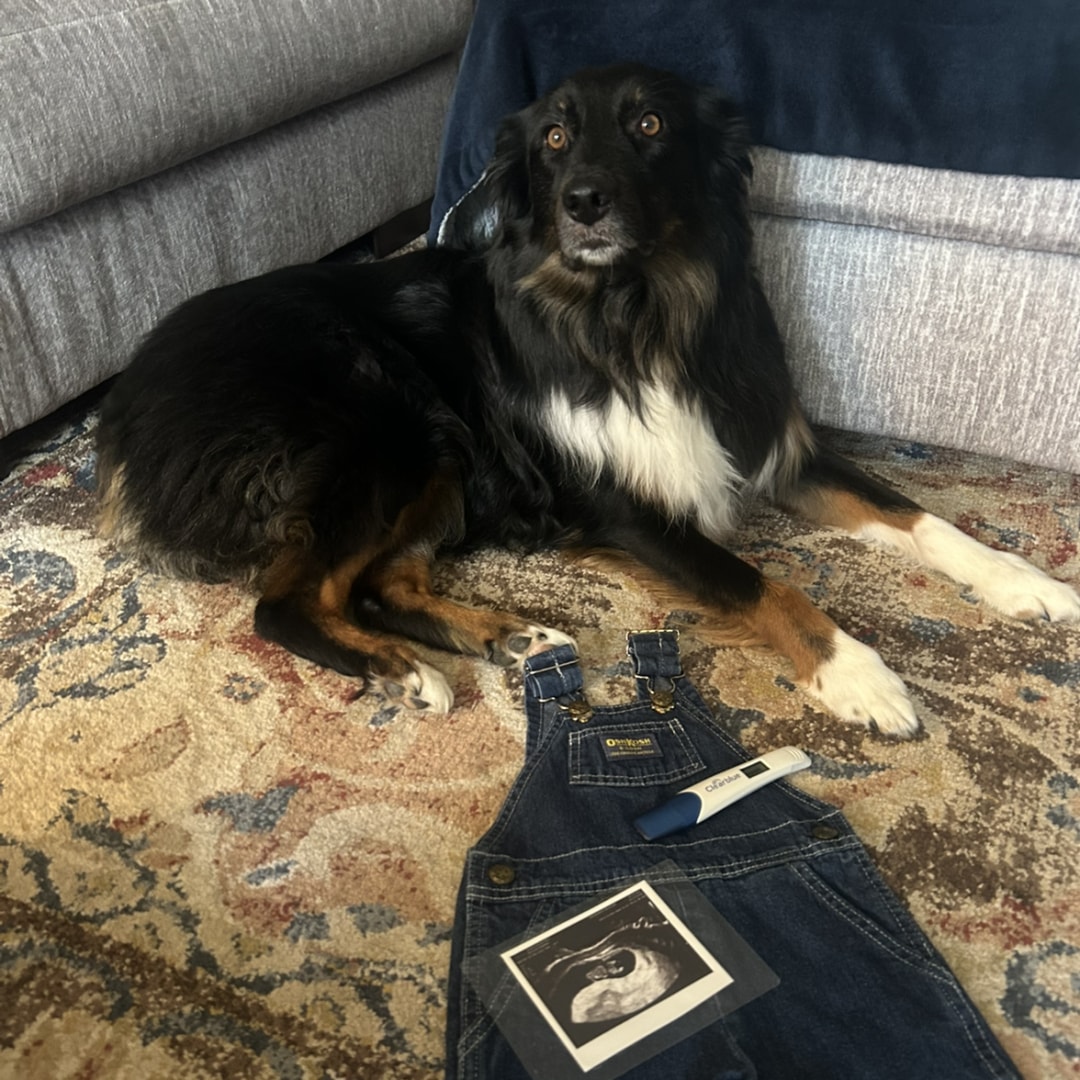 Photo shared by Hannah for their Babylist baby registry.