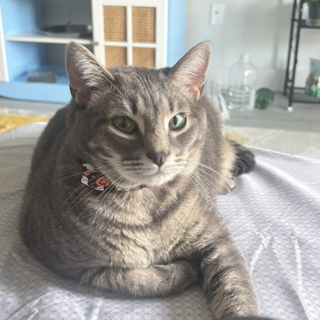 Photo shared by Shedora for their Babylist baby registry.