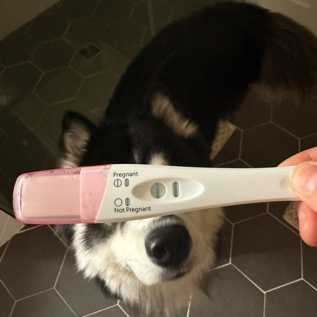 Photo shared by Shelby for their Babylist baby registry.