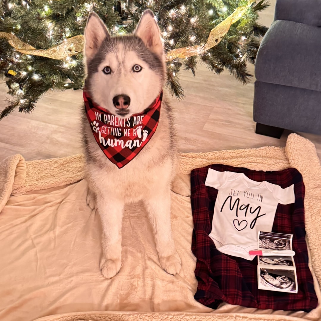 Photo shared by Ariane for their Babylist baby registry.