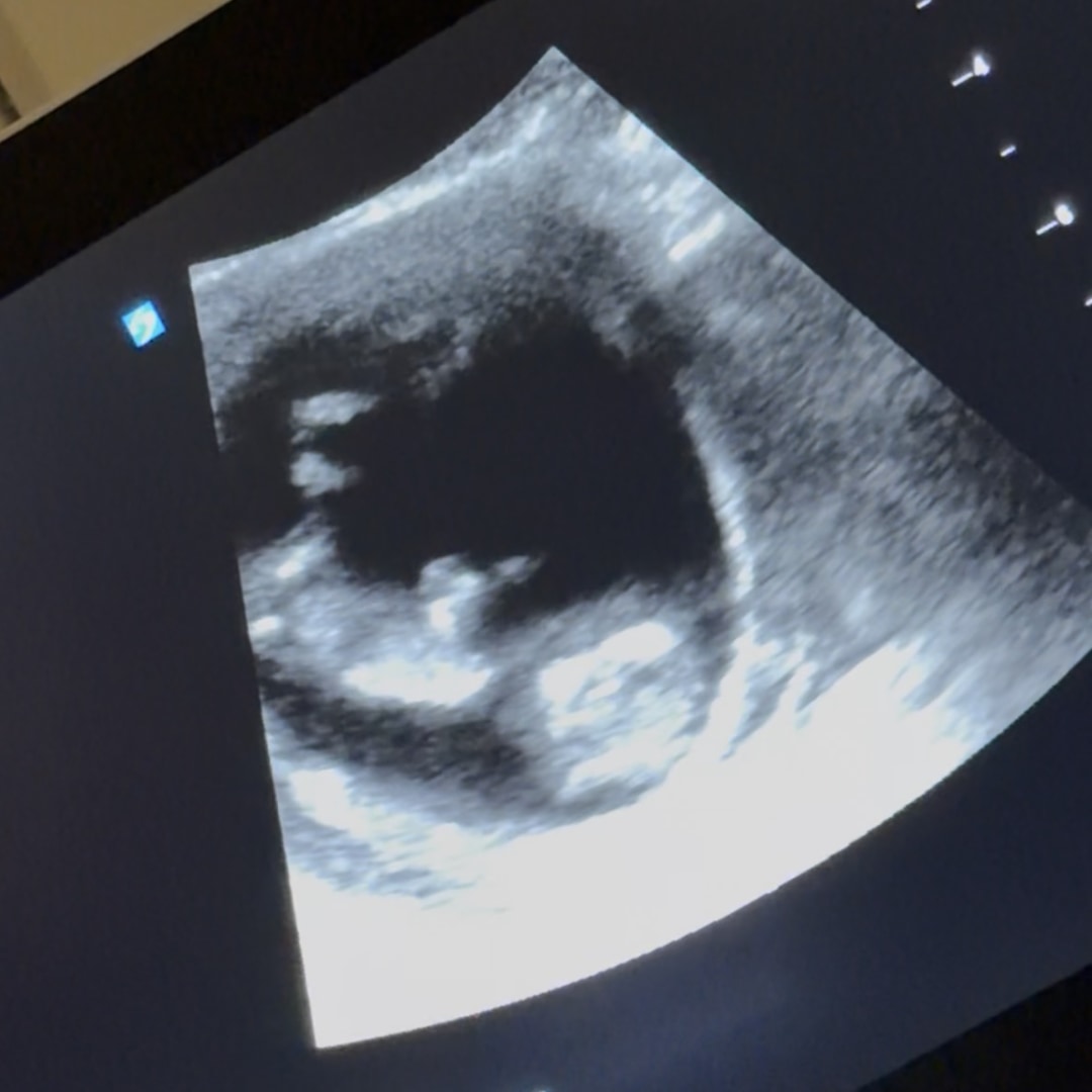 Photo shared by ALEJANDRO for their Babylist baby registry.