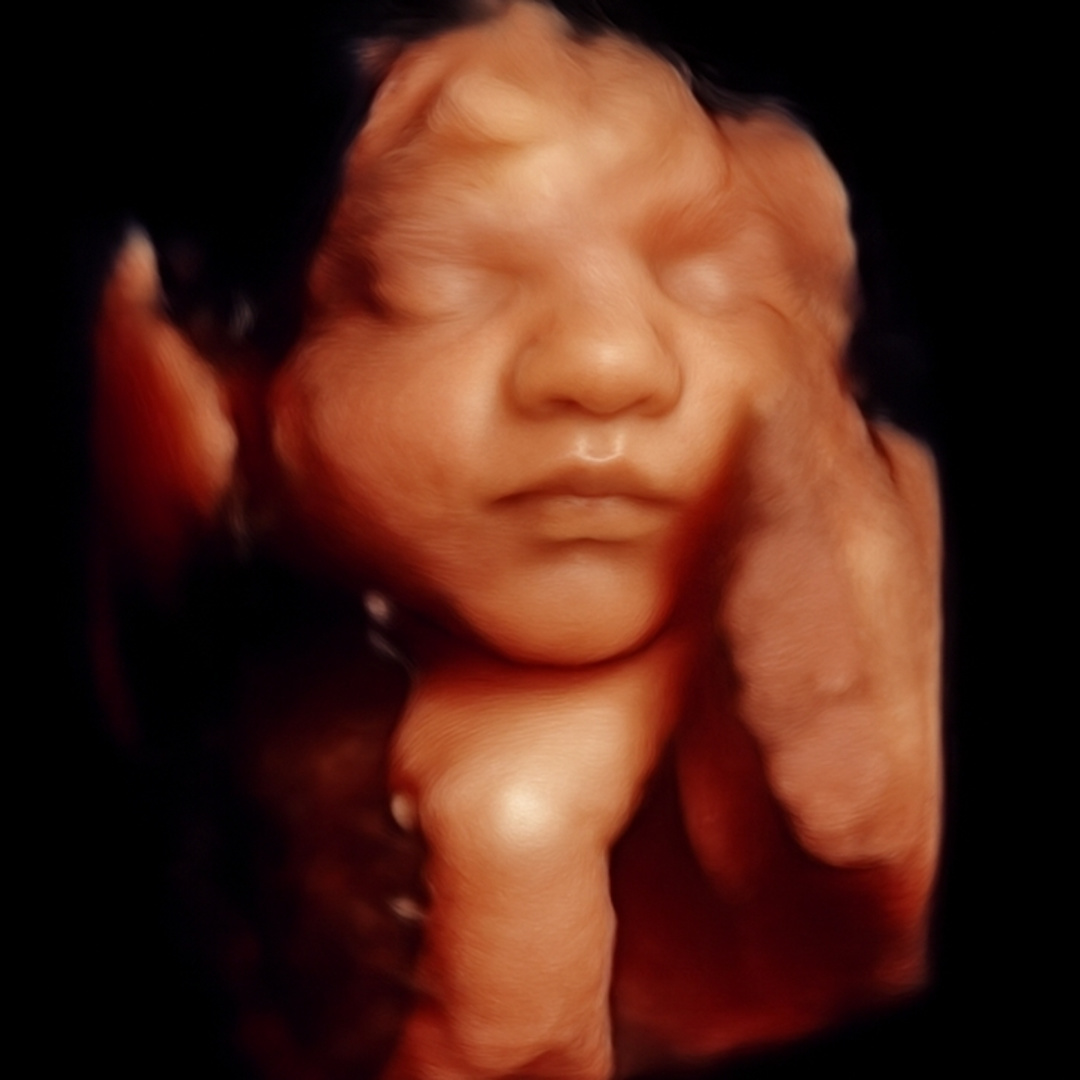 Photo shared by Natalie for their Babylist baby registry.