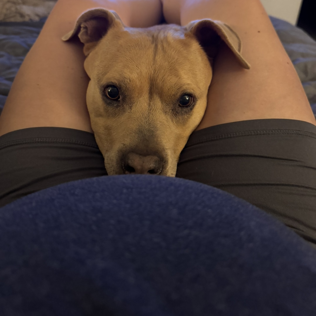 Photo shared by Halea for their Babylist baby registry.