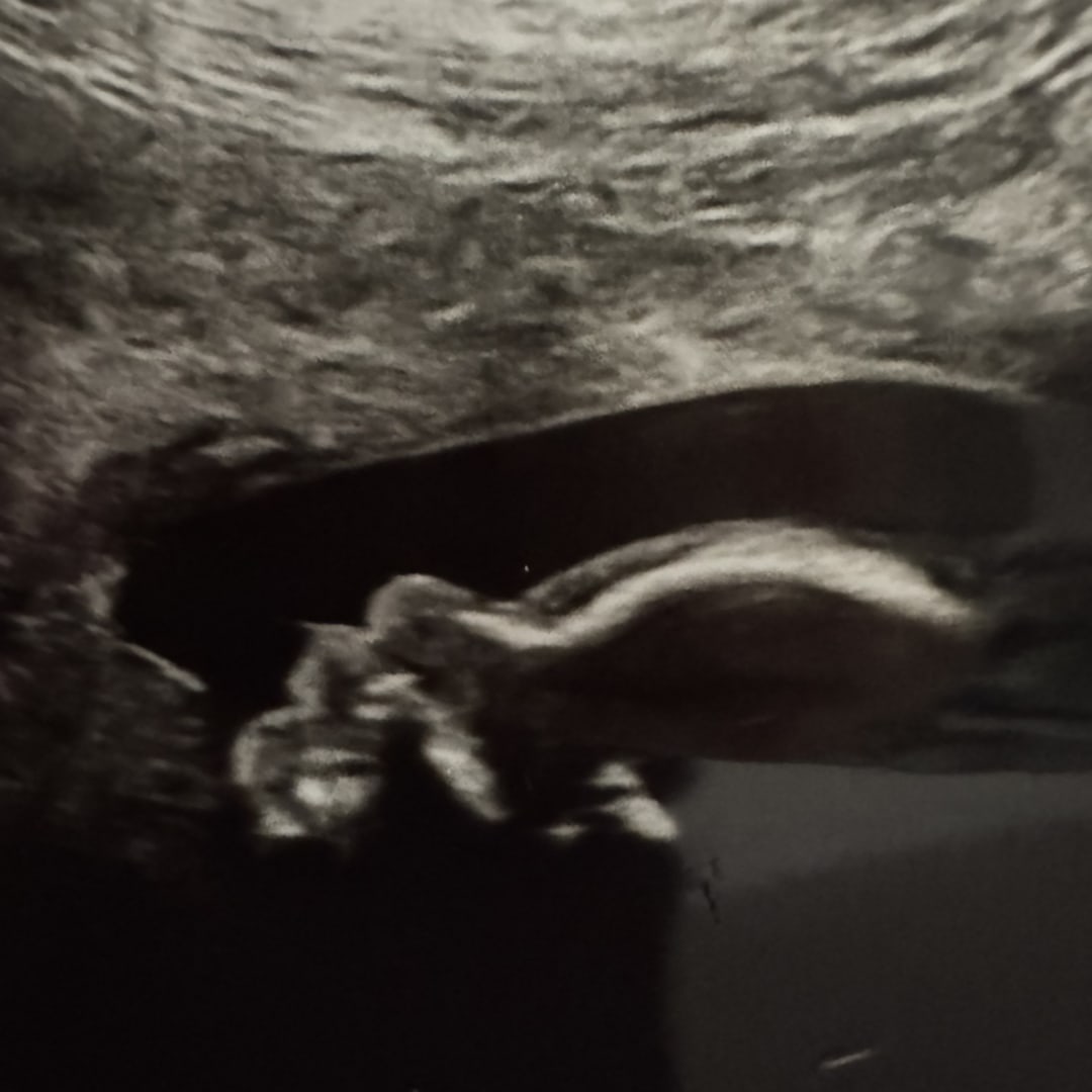 Photo shared by Ana for their Babylist baby registry.