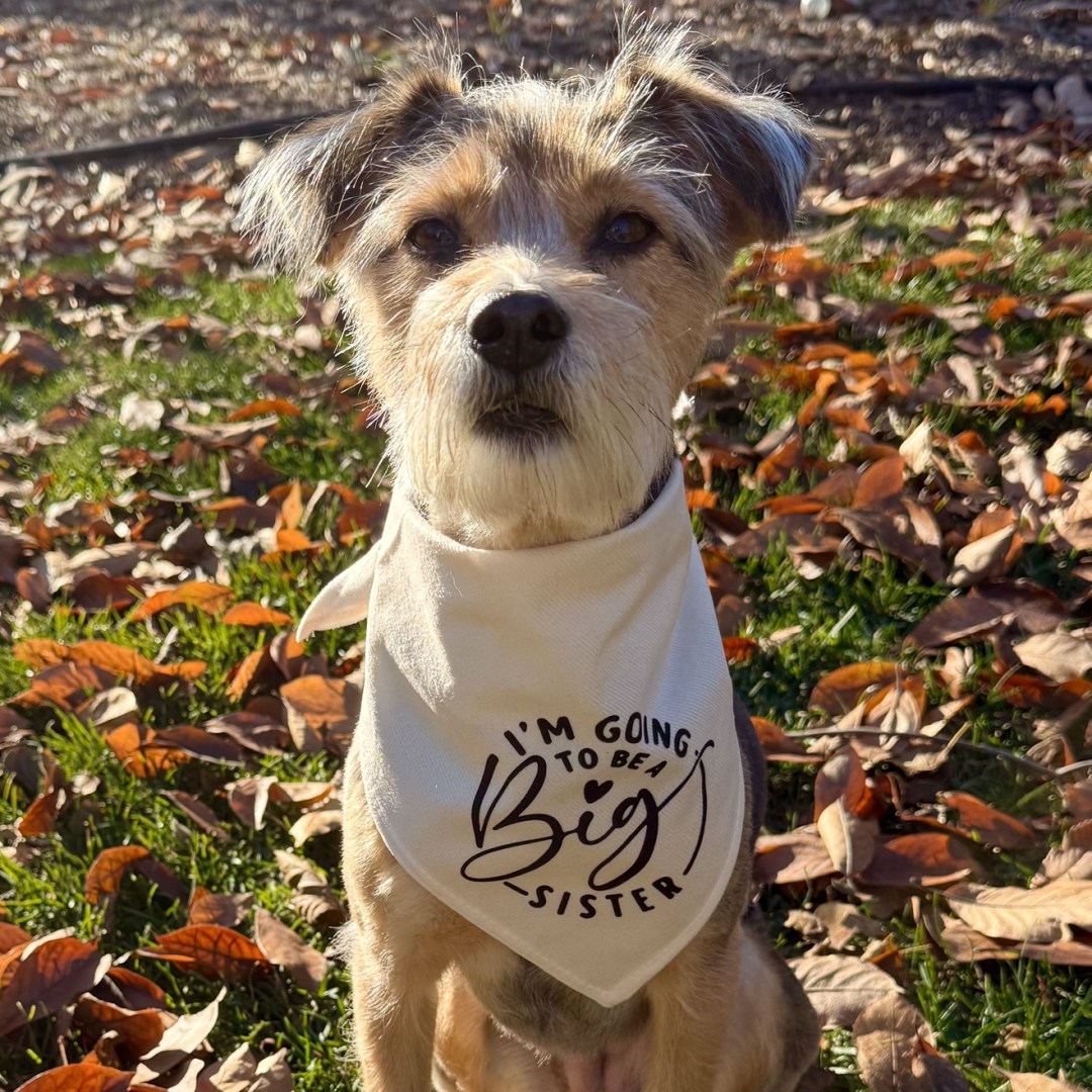 Photo shared by Brittany for their Babylist baby registry.