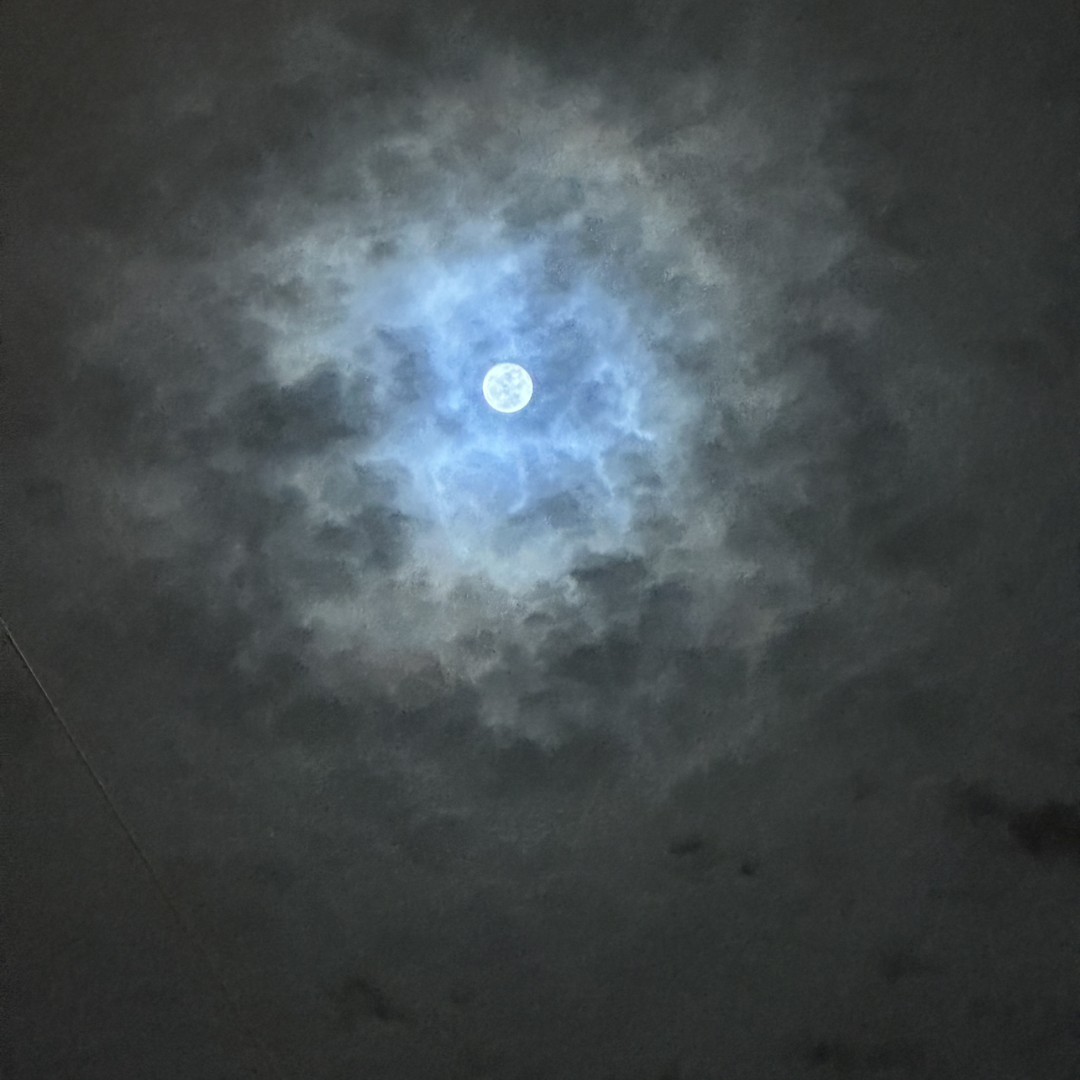 Photo shared by Dineily for their Babylist baby registry.