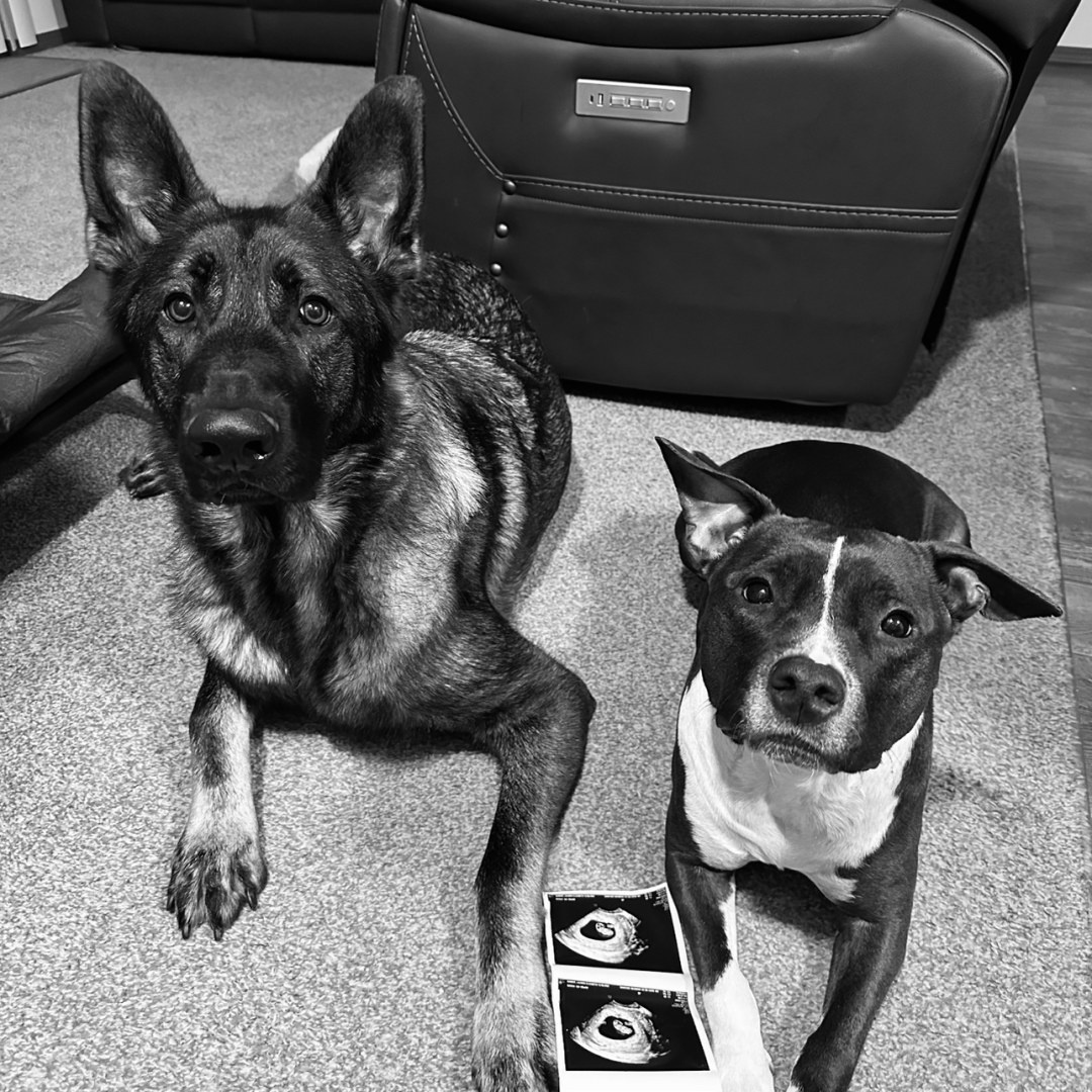 Photo shared by Lauren for their Babylist baby registry.