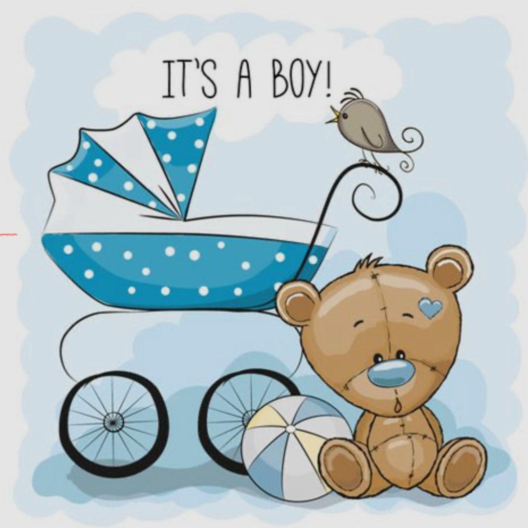 Photo shared by Sourya (Star) for their Babylist baby registry.