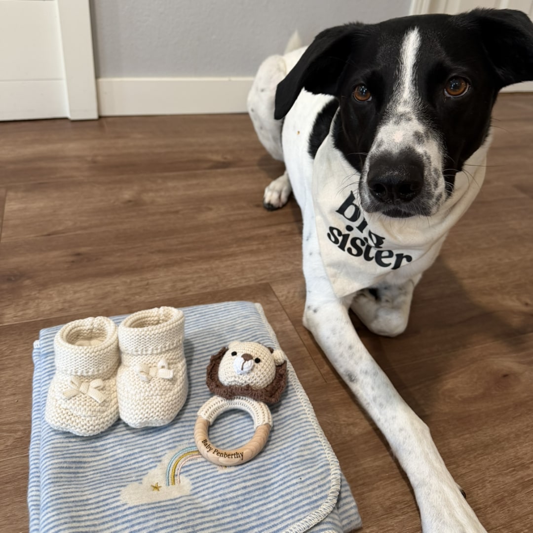 Photo shared by Bella for their Babylist baby registry.
