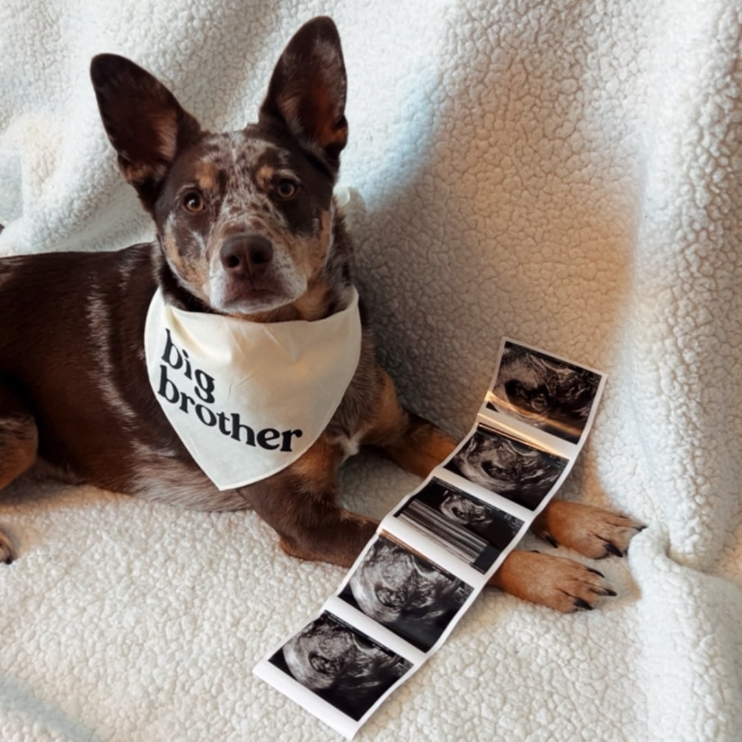 Photo shared by Hannah for their Babylist baby registry.