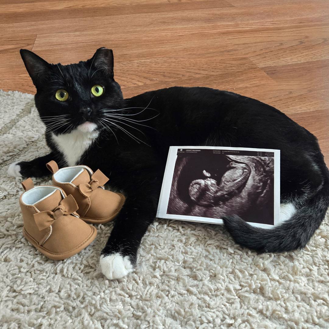 Photo shared by Mackenzie for their Babylist baby registry.