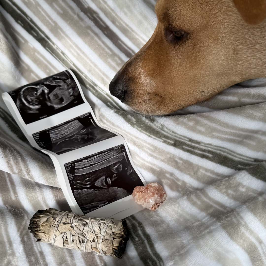 Photo shared by Keilany for their Babylist baby registry.