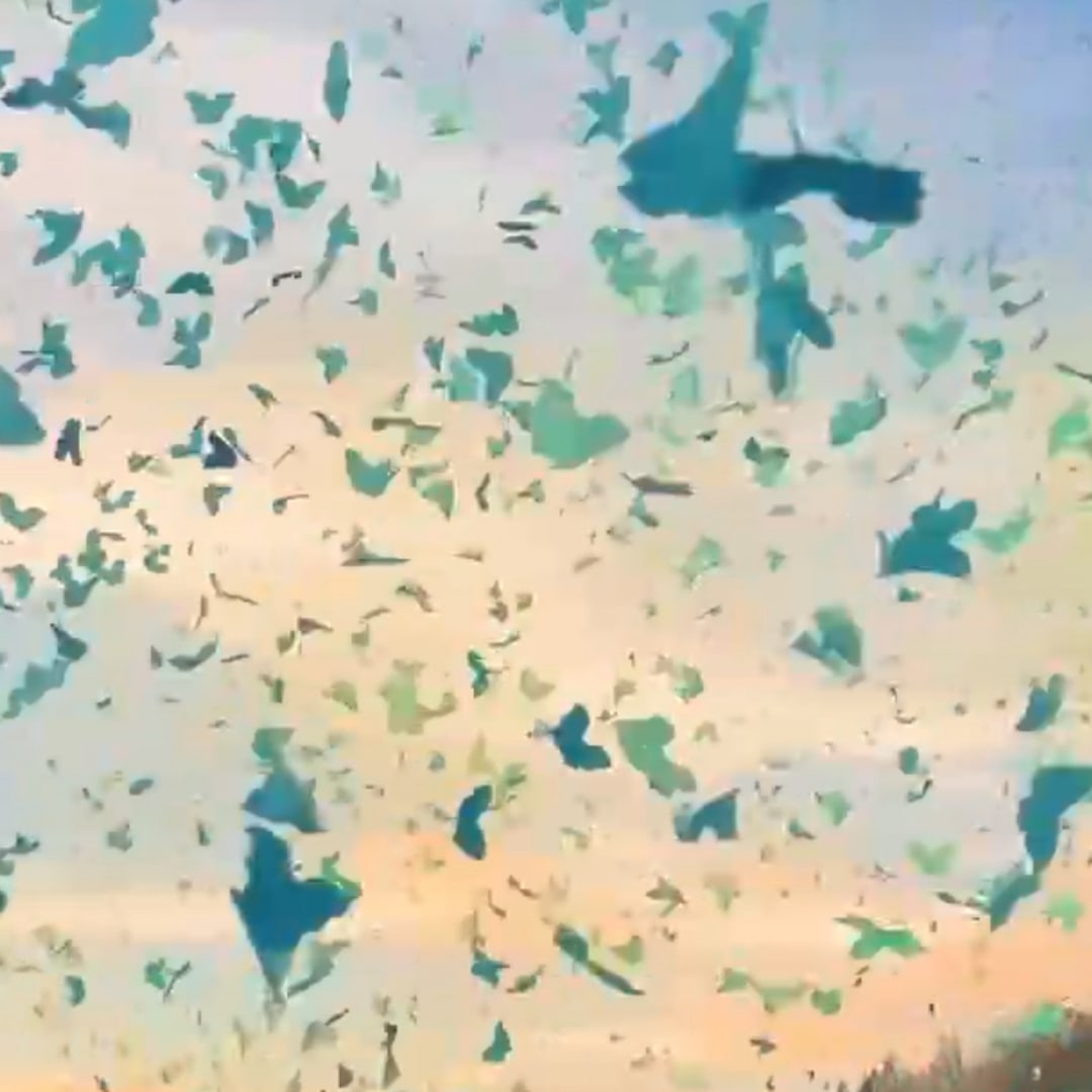 Photo shared by Lily for their Babylist baby registry.