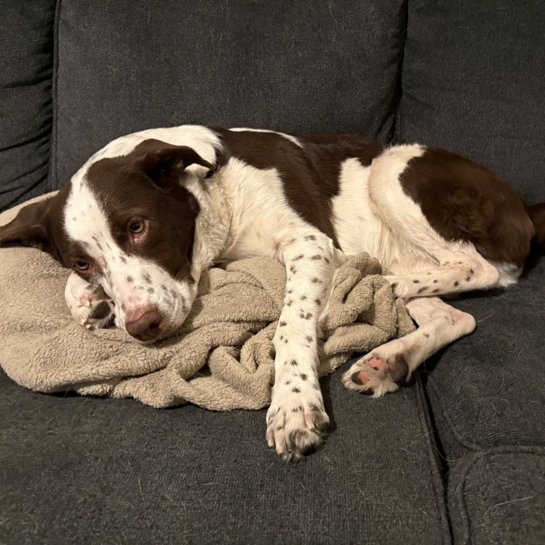 Photo shared by Abi for their Babylist baby registry.