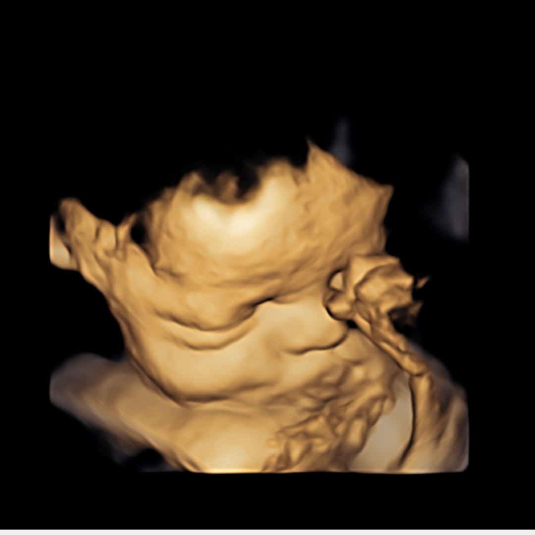 Photo shared by Paulina for their Babylist baby registry.