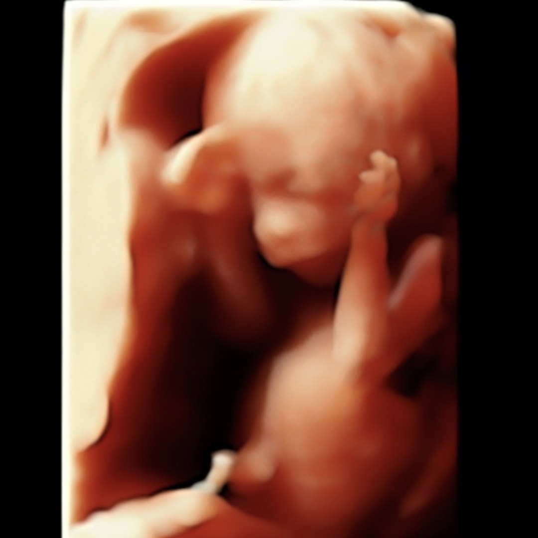 Photo shared by Dava for their Babylist baby registry.