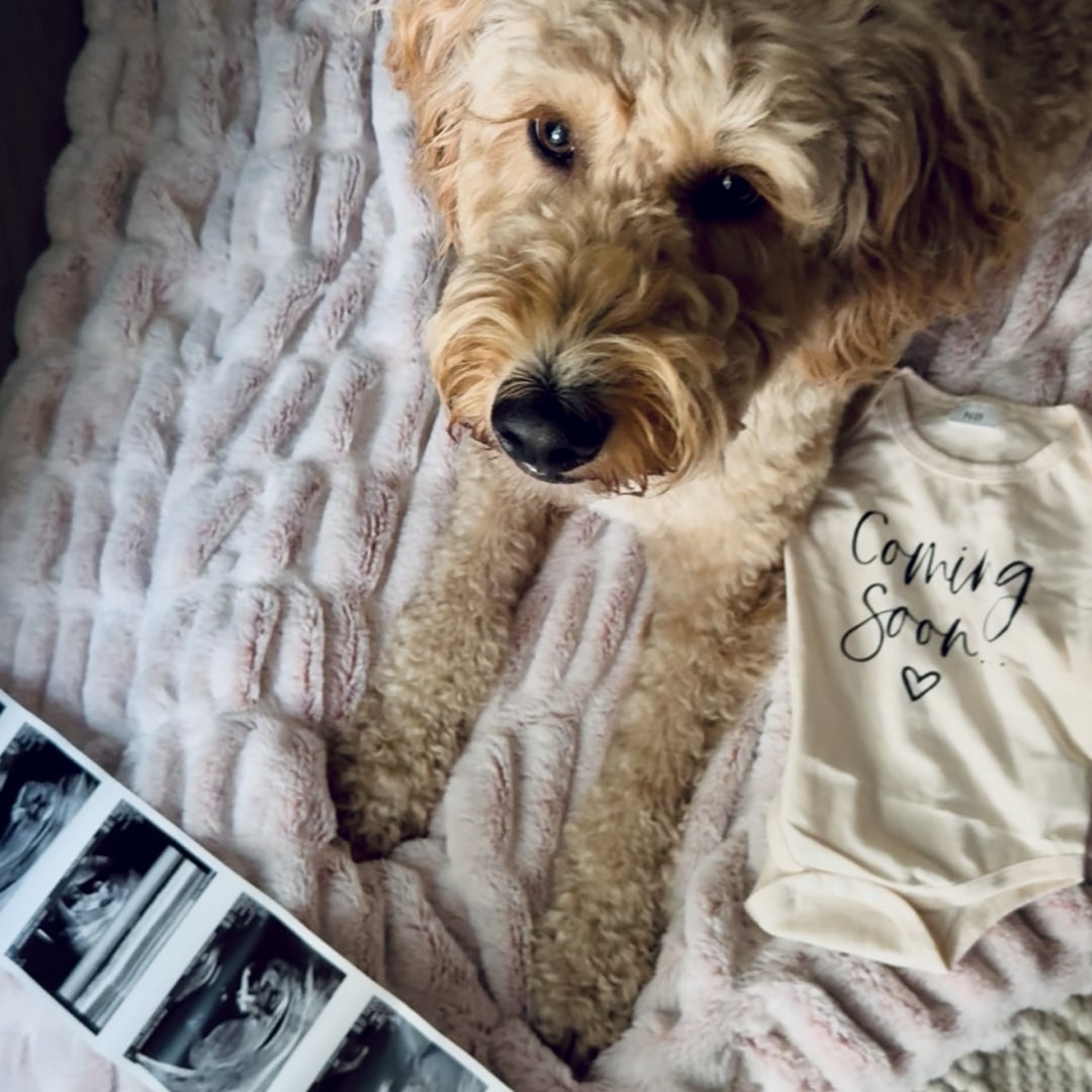Photo shared by Kim for their Babylist baby registry.