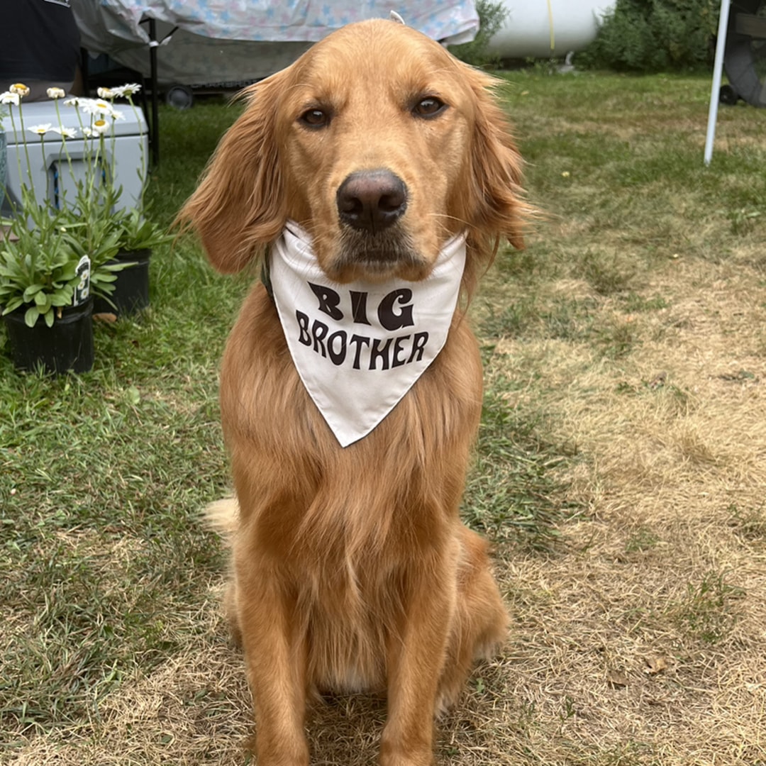 Photo shared by Sarah for their Babylist baby registry.