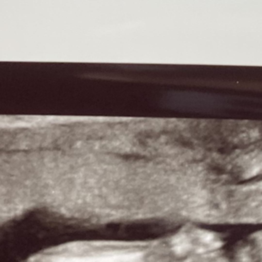 Photo shared by Amber for their Babylist baby registry.