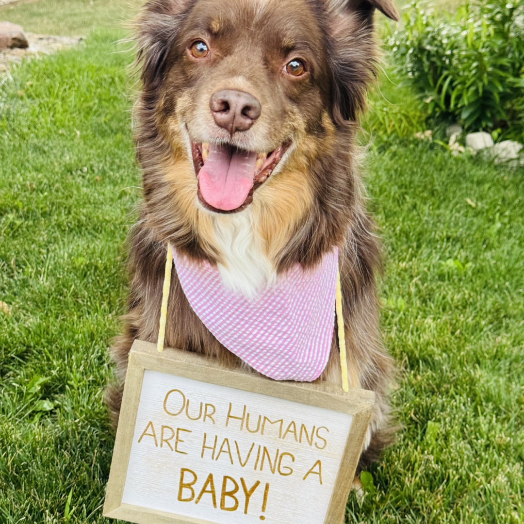 Photo shared by Caren & Kyle for their Babylist baby registry.
