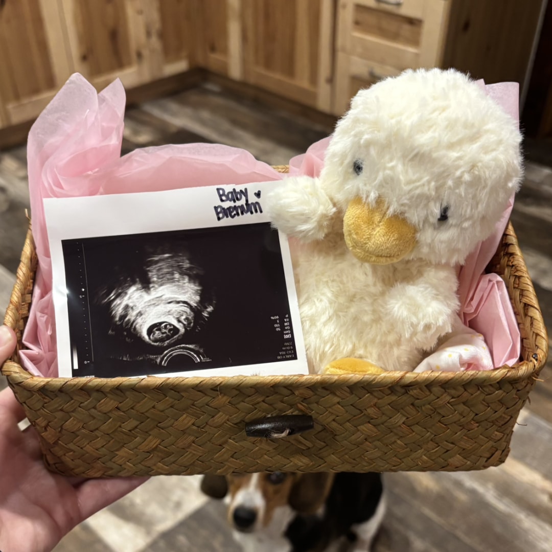 Photo shared by Lorelei for their Babylist baby registry.