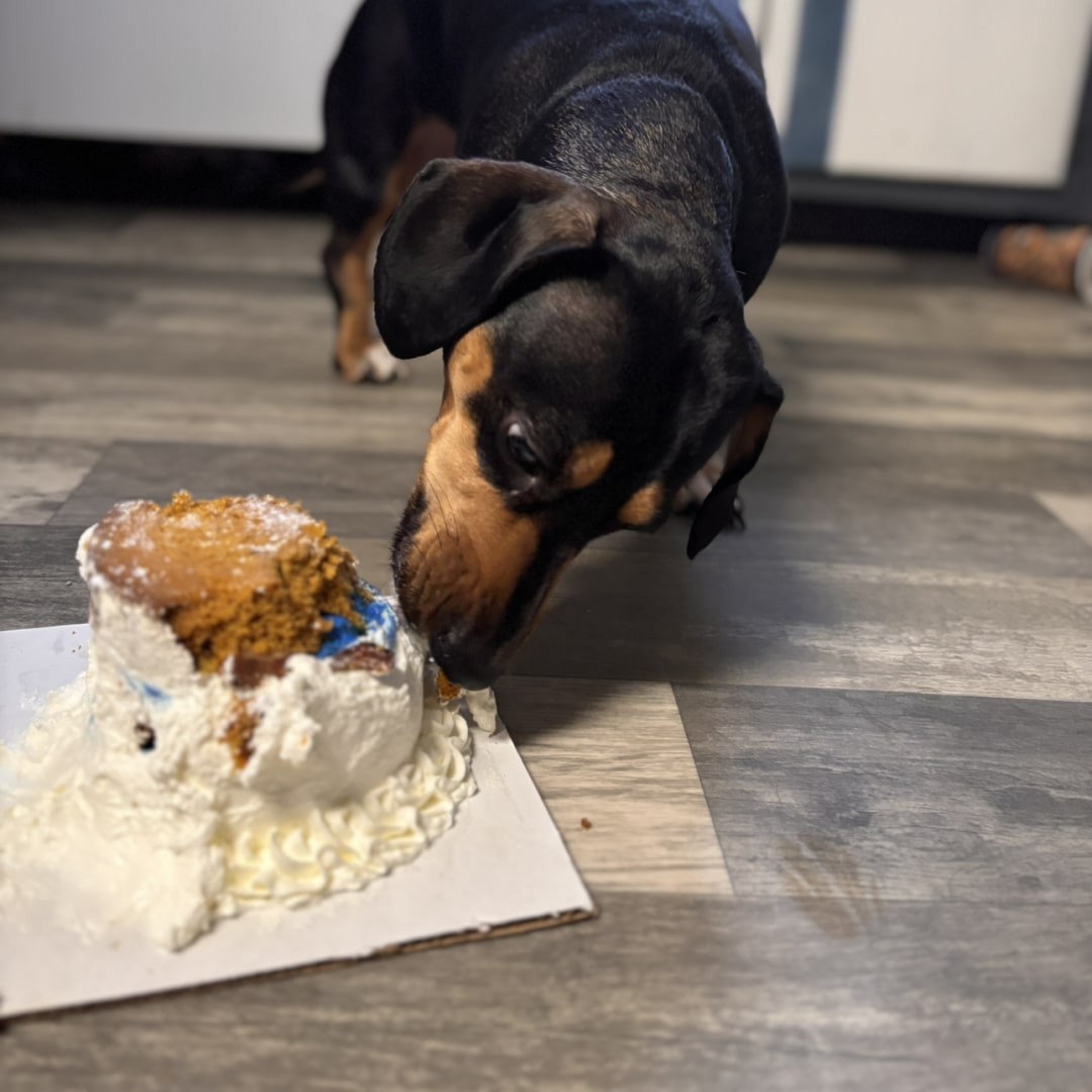 Photo shared by Ashley for their Babylist baby registry.