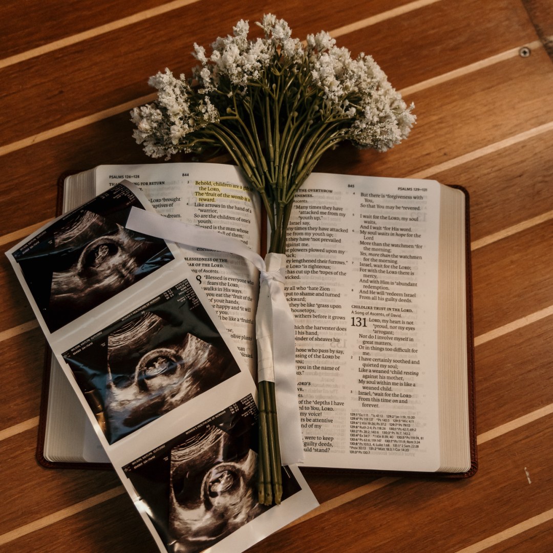 Photo shared by Kaitlyn for their Babylist baby registry.