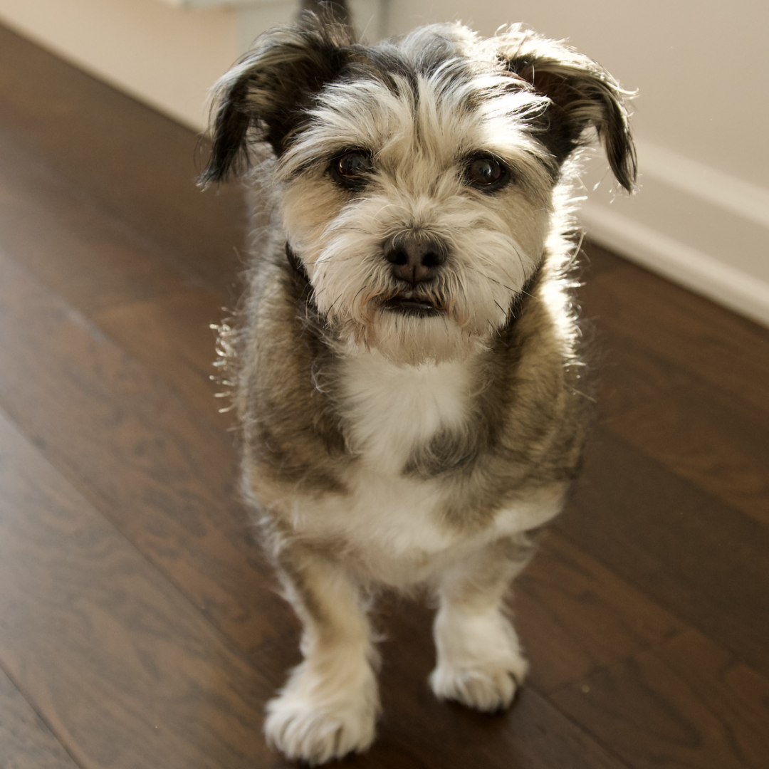 Photo shared by Sarah for their Babylist baby registry.