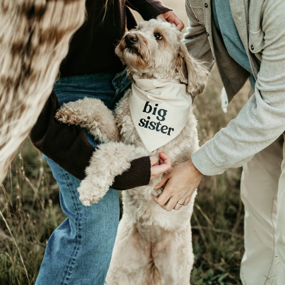 Photo shared by Kaitlin for their Babylist baby registry.