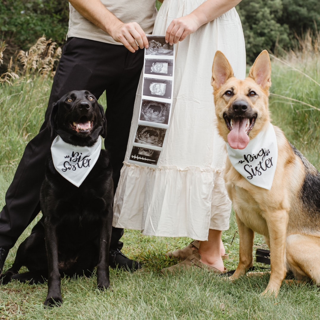 Photo shared by Dannyn for their Babylist baby registry.