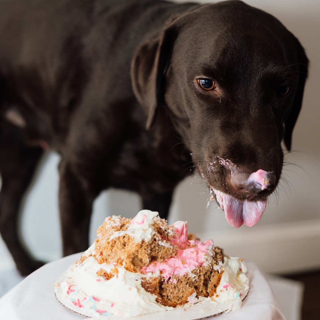 Photo shared by Elicia for their Babylist baby registry.