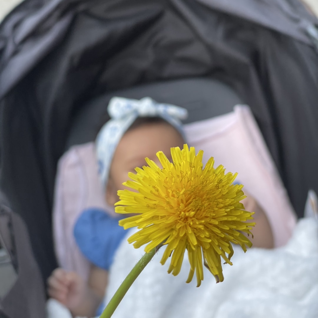Photo shared by Dennise for their Babylist baby registry.