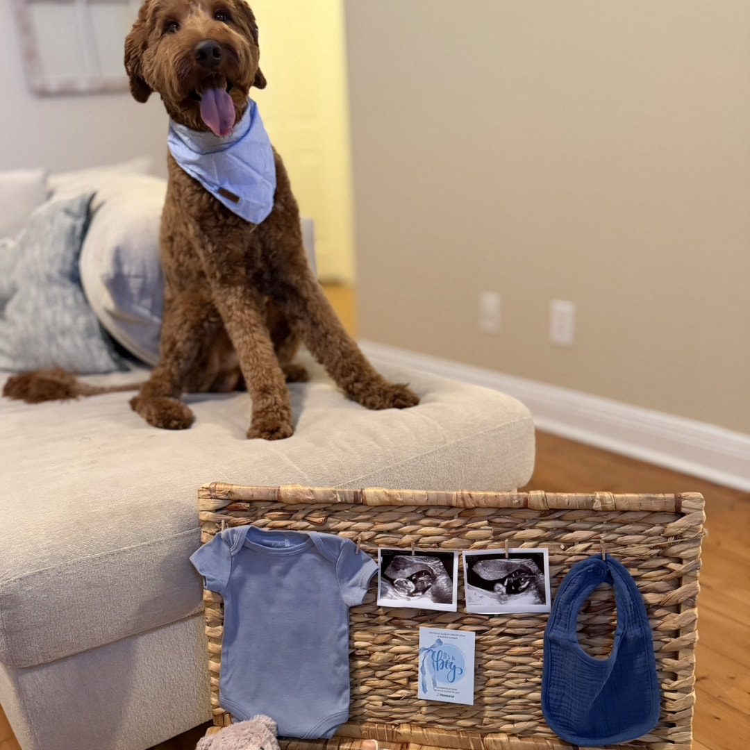 Photo shared by Leah for their Babylist baby registry.