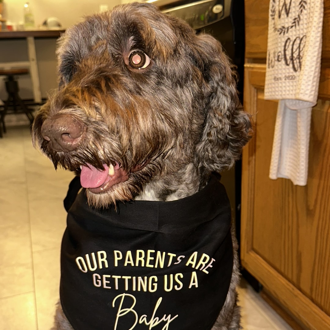 Photo shared by Emma for their Babylist baby registry.