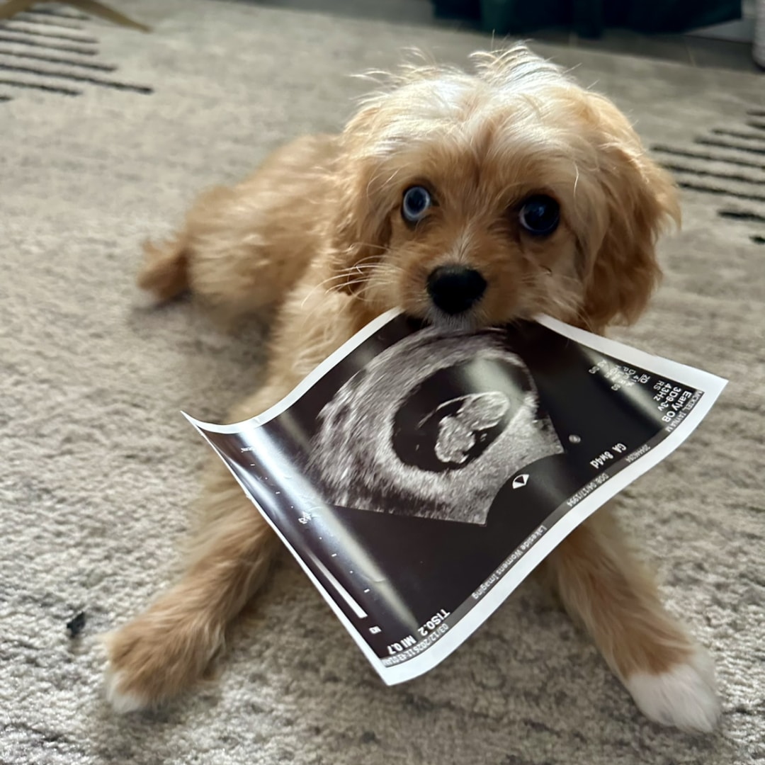 Photo shared by Jayna for their Babylist baby registry.